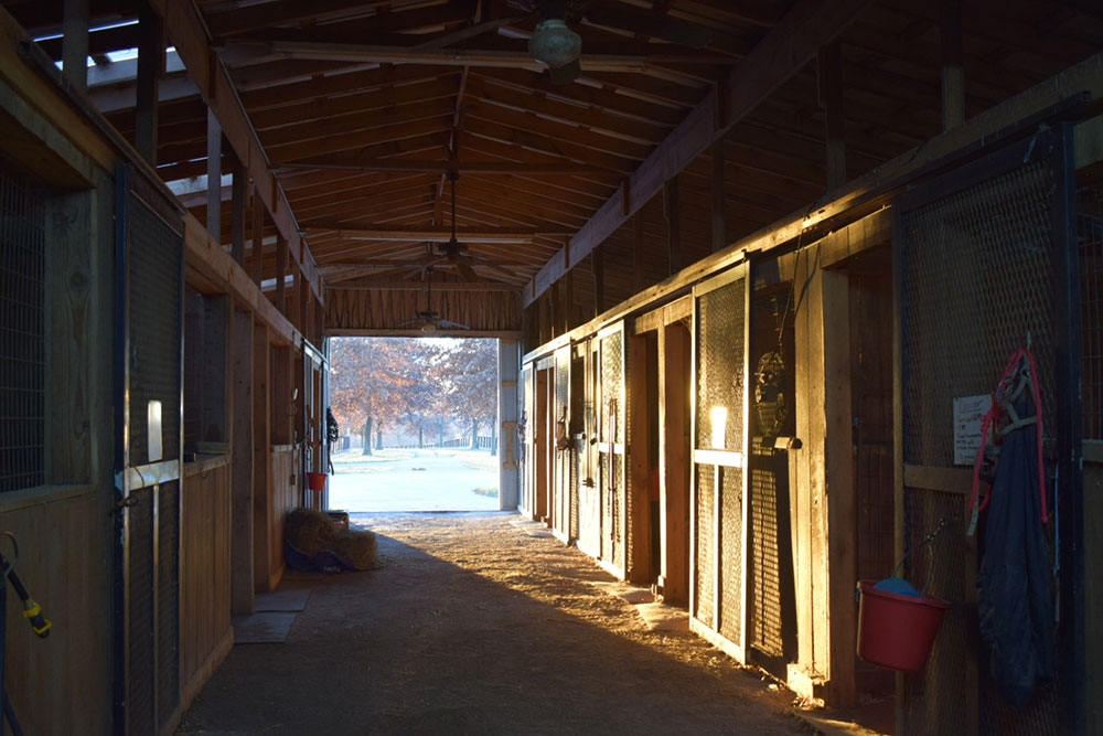 Horse stalls opened