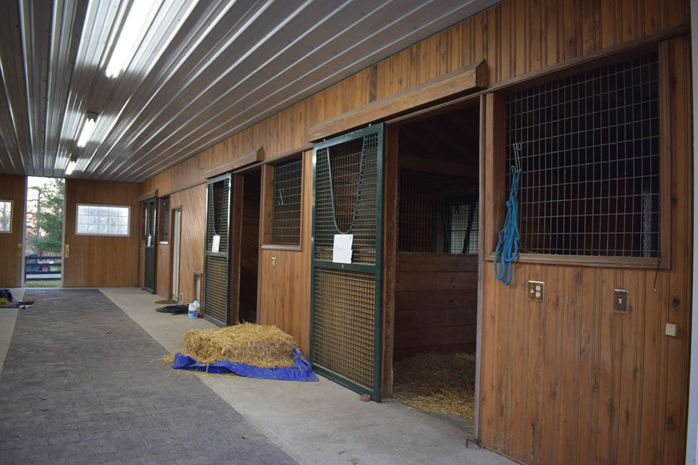 Horse stalls in the stable